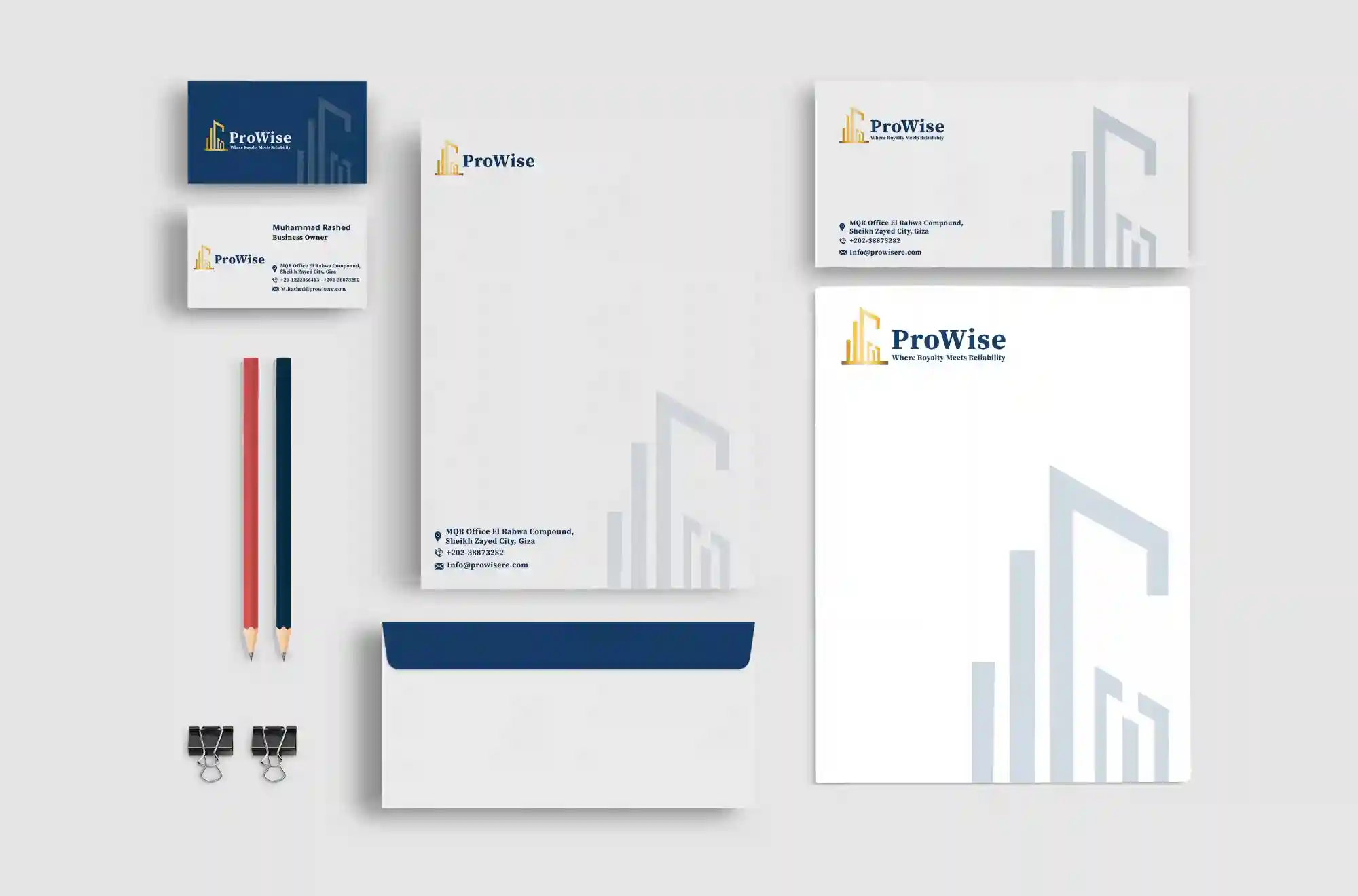 ProWise Brand Identity
